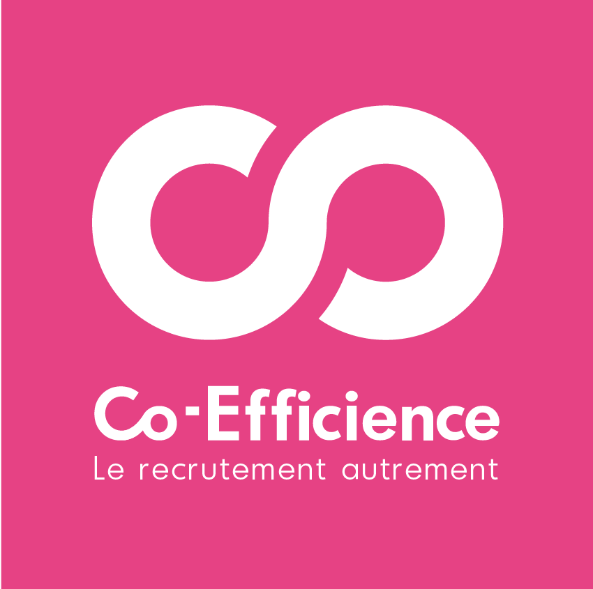Offres D Emplois Cabinet De Recrutement Lyon Paris Finance Commerce Ingenierie