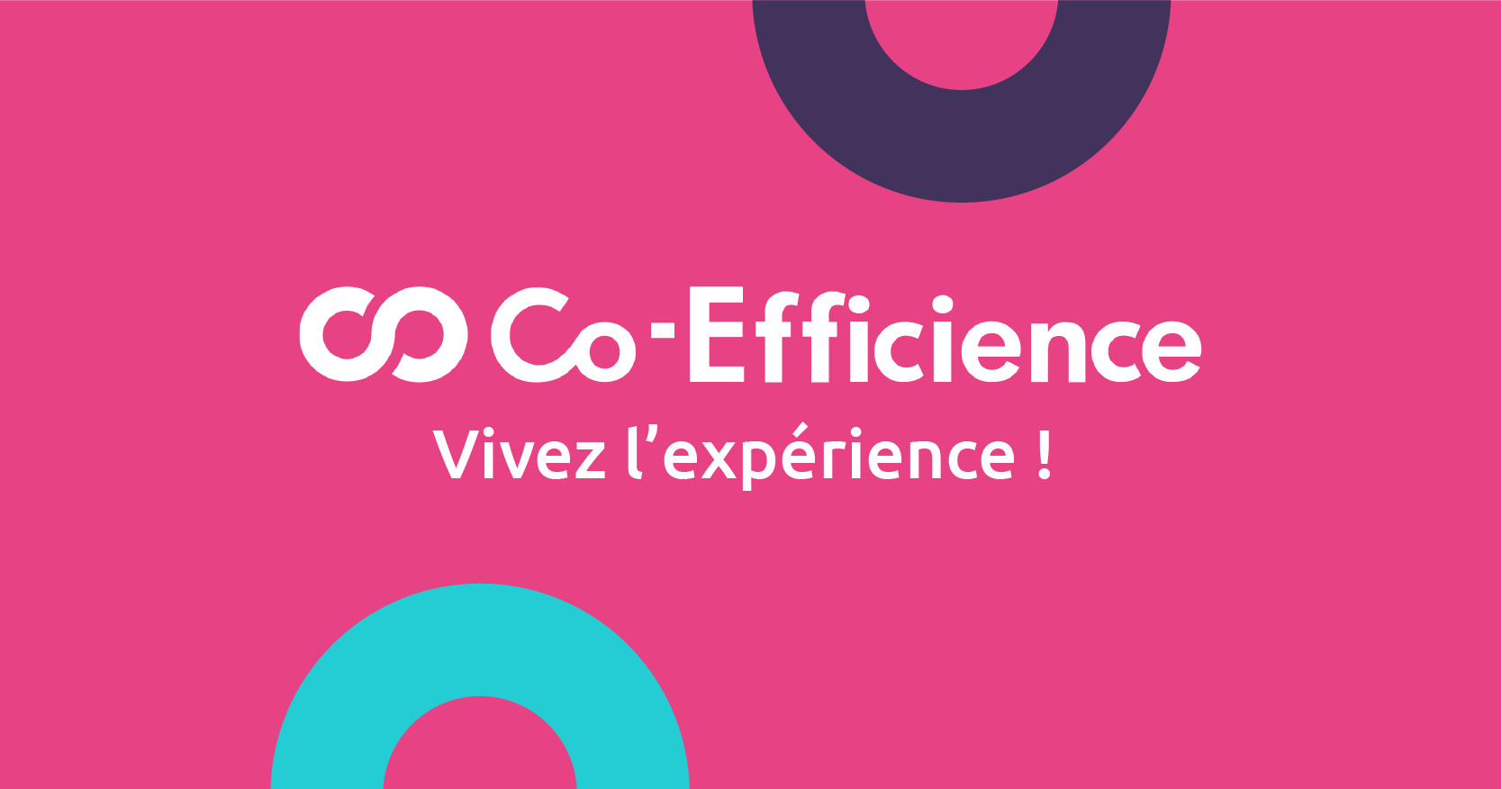 Responsable Comptable Groupe & Transformation SAP h/f
